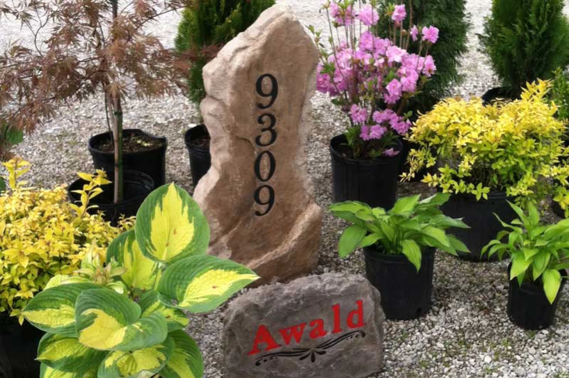 Single Sided Address Boulders (1)